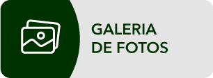 Galeria de Fotos.