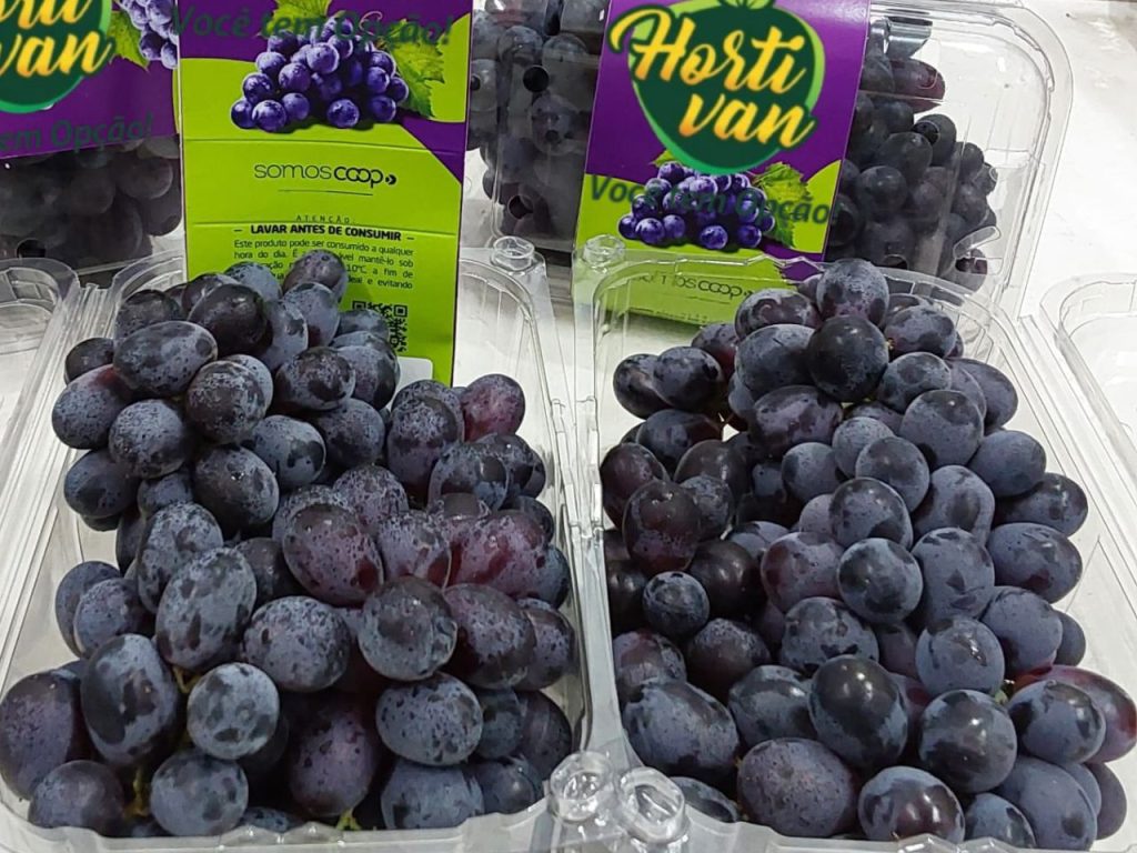 Frutas recebem tratamento premium na CEASA/MS até chegar ao consumidor