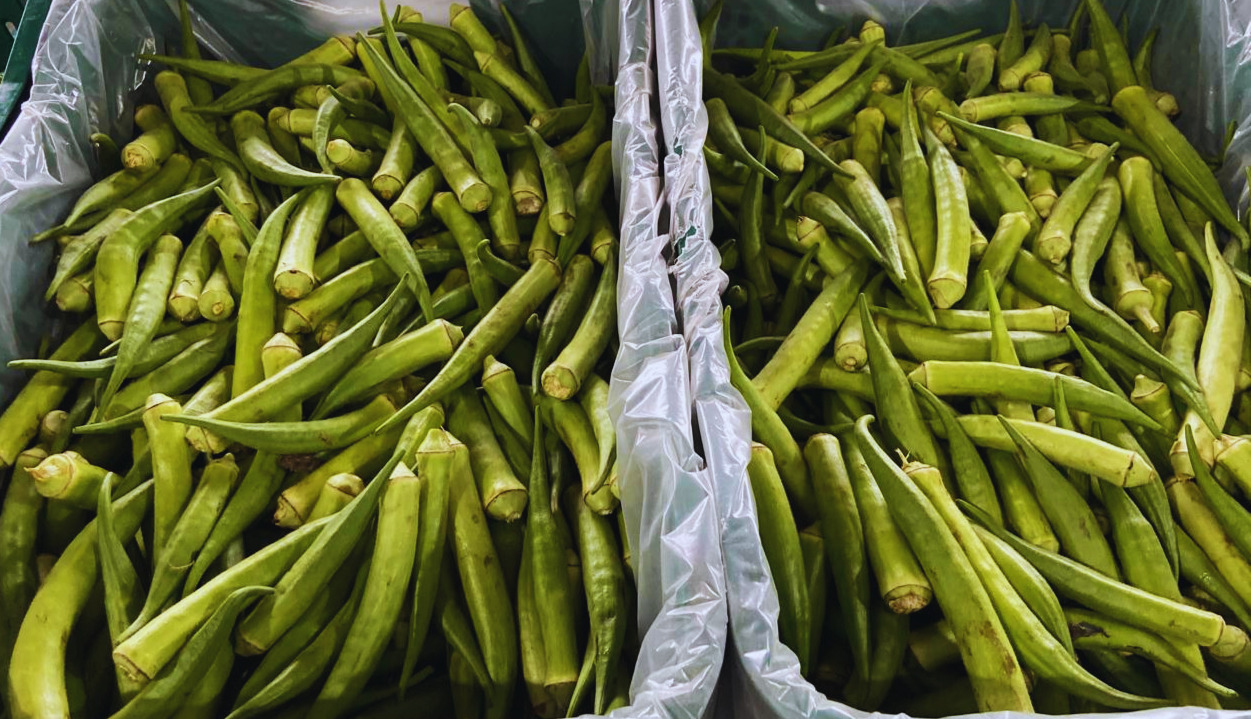 CEASA/MS divulga variação de preços do hortifrúti na 15ª semana de 2026 CEASA/MS divulga variação de preços do hortifrúti na 15ª semana de 2026