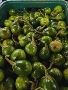 Amado ou odiado: jiló é aliado poderoso para uma alimentação saudável