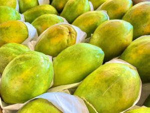Mamão Havaí e manga Palmer lideram alta de preços na CEASA/MS; batata, tomate e abobrinha registram queda