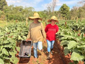 Da propriedade rural ao CECAF: casal transforma perseverança em produção Da propriedade rural ao CECAF: casal transforma perseverança em produção