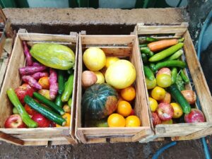 CEASA/MS doa frutas e verduras ao Centro de Reabilitação de Animais Silvestres