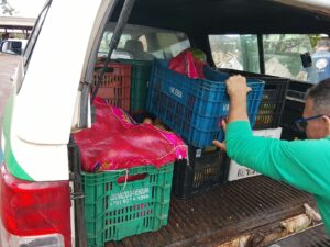 CEASA/MS doa frutas e verduras ao Centro de Reabilitação de Animais Silvestres